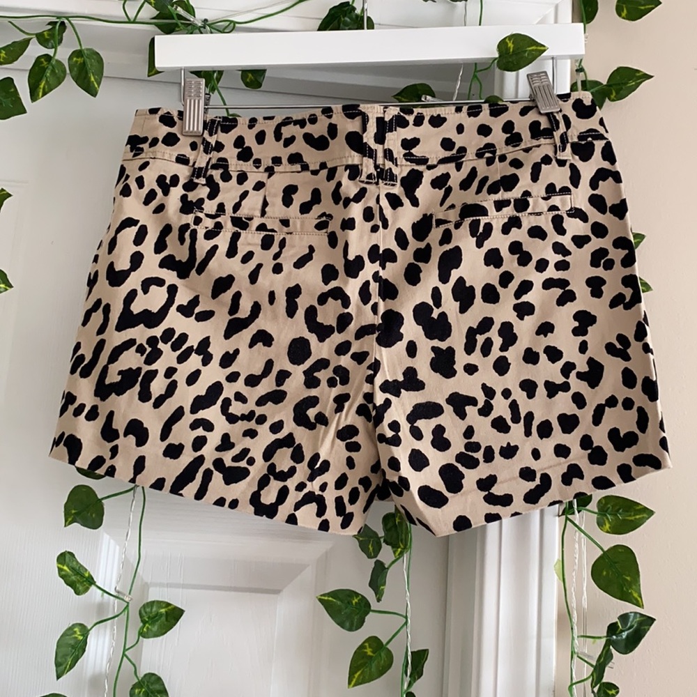Cache Leopard Print Shorts - image 2